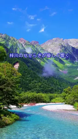 おでかけポコのTikTok投稿
