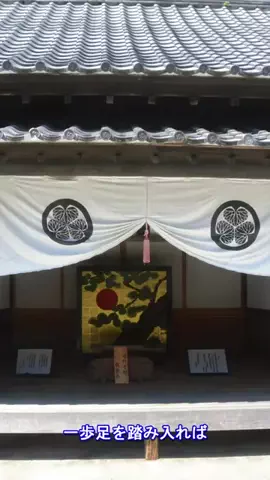 おでかけポコのTikTok投稿
