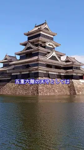 おでかけポコのTikTok投稿
