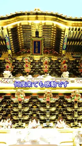 おでかけポコのTikTok投稿