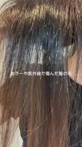 髪さら姉のTikTok投稿
