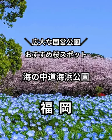 サム/九州旅行【観光地/宿/グルメ】のTikTok投稿