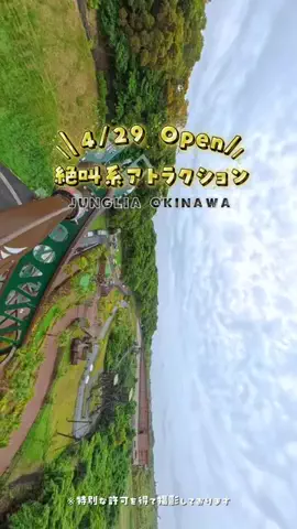 okinawa_risuのTikTok投稿
