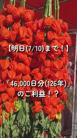 いとひろのTikTok投稿