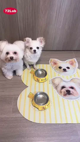 ぁぃ様🐈‍⬛⸒⸒⸒⸒🐾❤︎のTikTok投稿