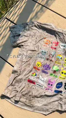ちこのおうちのTikTok投稿