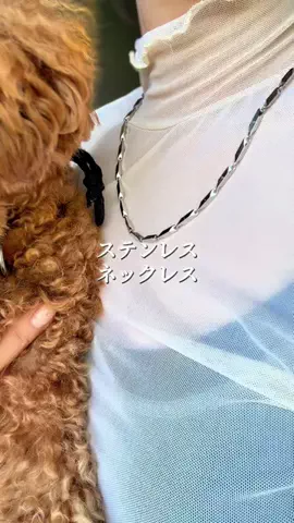 グレン君🐶トイプ🐶Hi i'm GLEN🐶のTikTok投稿