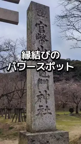ダイエットティーチャーやのへいのTikTok投稿