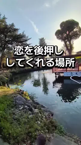 ダイエットティーチャーやのへいのTikTok投稿