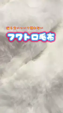 白いやつ😺👍のTikTok投稿
