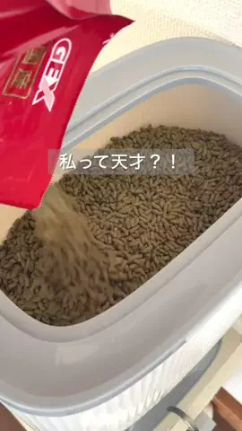 ほみた⌇1300万足りず未完成の中古家に住む人のTikTok投稿