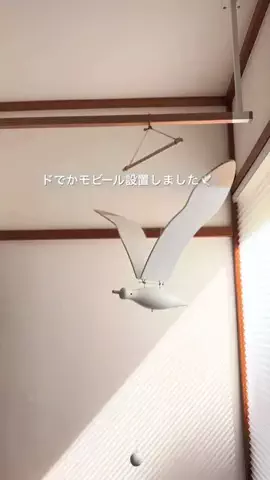 ほみた⌇1300万足りず未完成の中古家に住む人のTikTok投稿