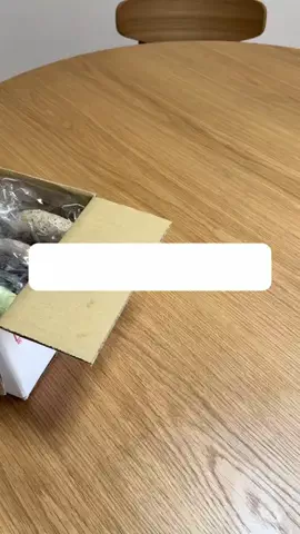 りなのTikTok投稿