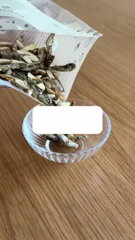 りなのTikTok投稿