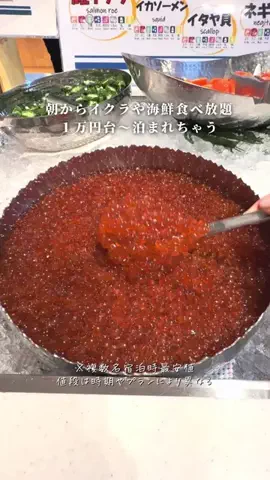 しおり｜女子向けおでかけ・旅行情報🎀のTikTok投稿