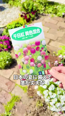 きの子　（小さな庭・DIY）のTikTok投稿