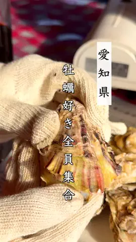のりなな｜尾張グルメ＆親子おでかけ情報のTikTok投稿