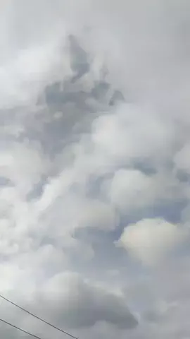 やんのTikTok投稿
