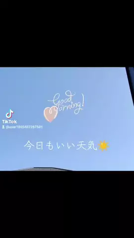 やんのTikTok投稿