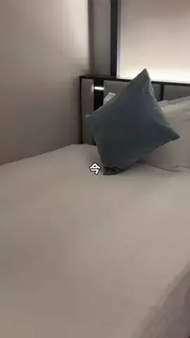 よしたかのTikTok投稿