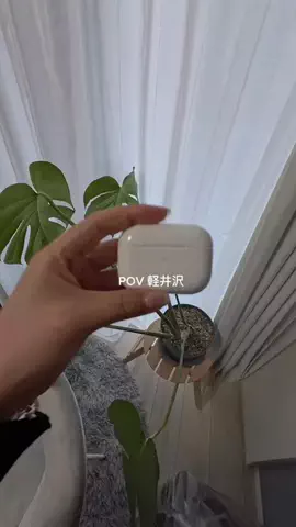 isoguyo_everydayのTikTok投稿