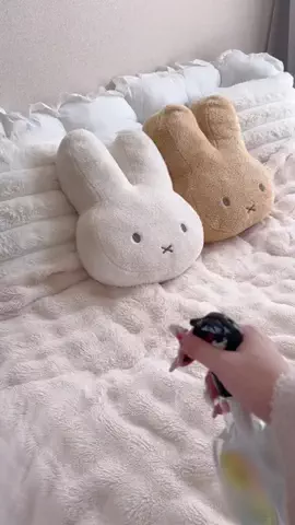 LalaのTikTok投稿