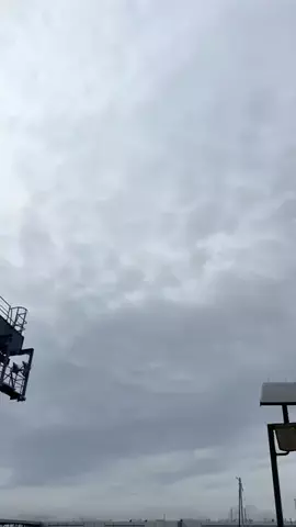 釣光TV/fishingのTikTok投稿