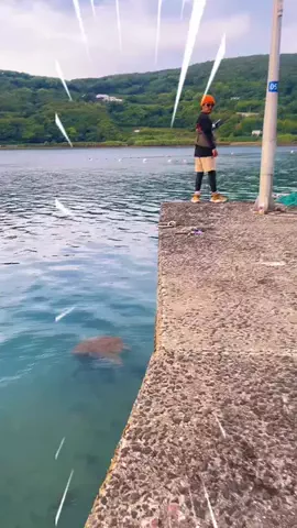 釣り初心者の釣り部のTikTok投稿