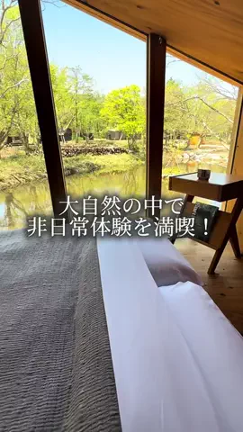 shiga_gourmet_pipi_selectのTikTok投稿