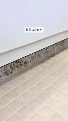 nemi_kurashiのTikTok投稿