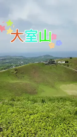 LittleBamboo.stのTikTok投稿