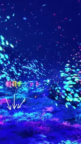 LittleBamboo.stのTikTok投稿