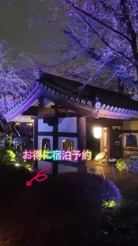 LittleBamboo.stのTikTok投稿