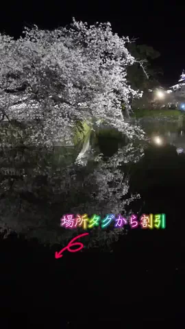 LittleBamboo.stのTikTok投稿