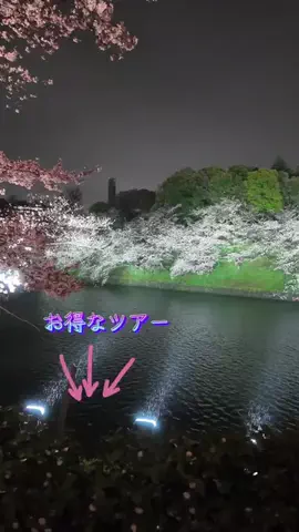 LittleBamboo.stのTikTok投稿