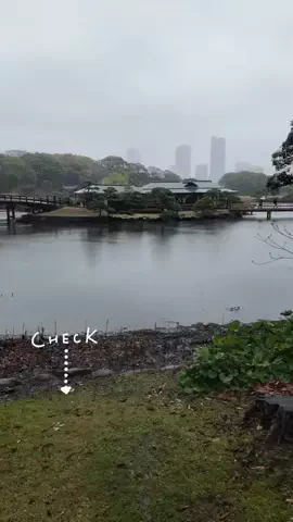 LittleBamboo.stのTikTok投稿