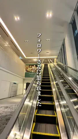 名店グルメのTikTok投稿