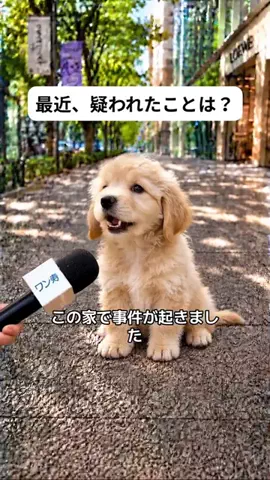 犬猫総合製薬株式会社のTikTok投稿
