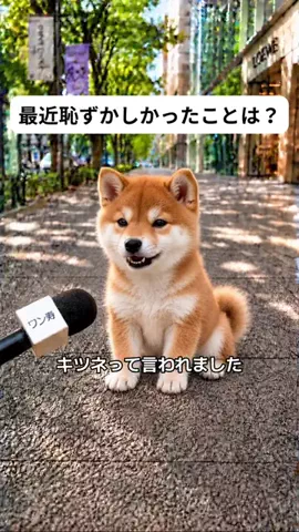 犬猫総合製薬株式会社のTikTok投稿