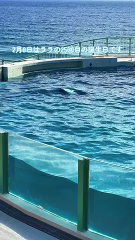 🌈つかちあこ🐬のTikTok投稿