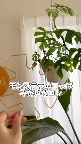 ゆりのTikTok投稿