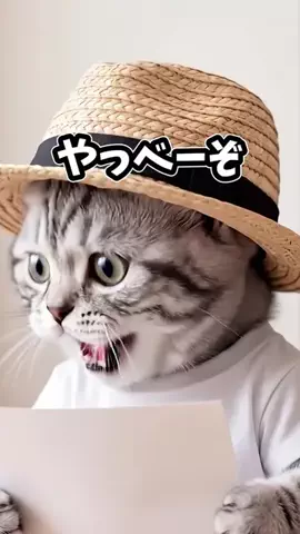 もふのなか / MofuNoNakaのTikTok投稿