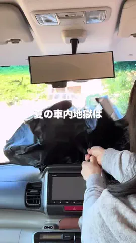 さやぴい⌇整えるごはんと暮らしのTikTok投稿