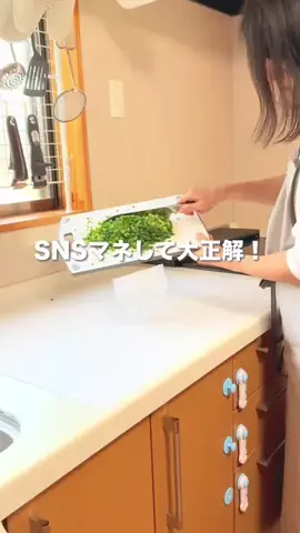 さやぴい⌇整えるごはんと暮らしのTikTok投稿