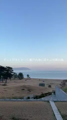 海のTikTok投稿