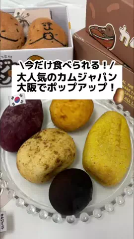 渡韓するアカウント🇰🇷のTikTok投稿