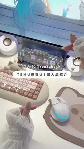 りりねこちゃんねるのTikTok投稿