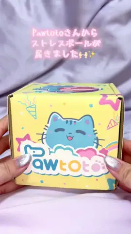 ちゃんりー！のTikTok投稿