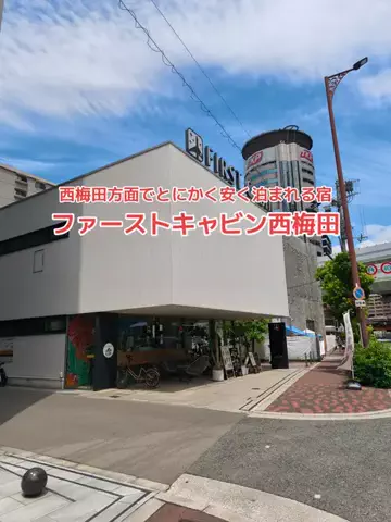 野良猫　イチくんとナナちゃんのTikTok投稿