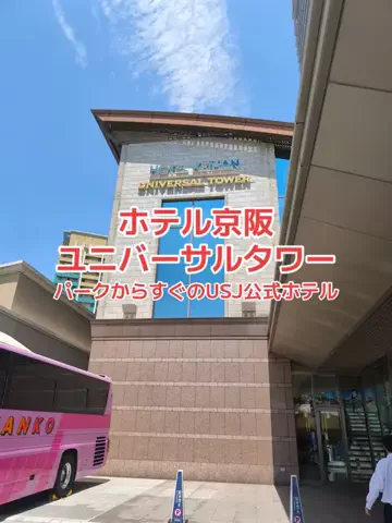 野良猫　イチくんとナナちゃんのTikTok投稿